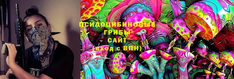 Галлюциногенные грибы Magic Shrooms  сколько стоит  Емва 